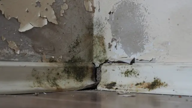 Wasserschaden an Wand und Decke in Mietwohnung für Mietminderung anzeigen