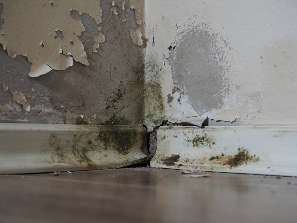 Unterschied zwischen Lohn und Gehalt in der Abrechnung für Arbeitnehmer im Überblick